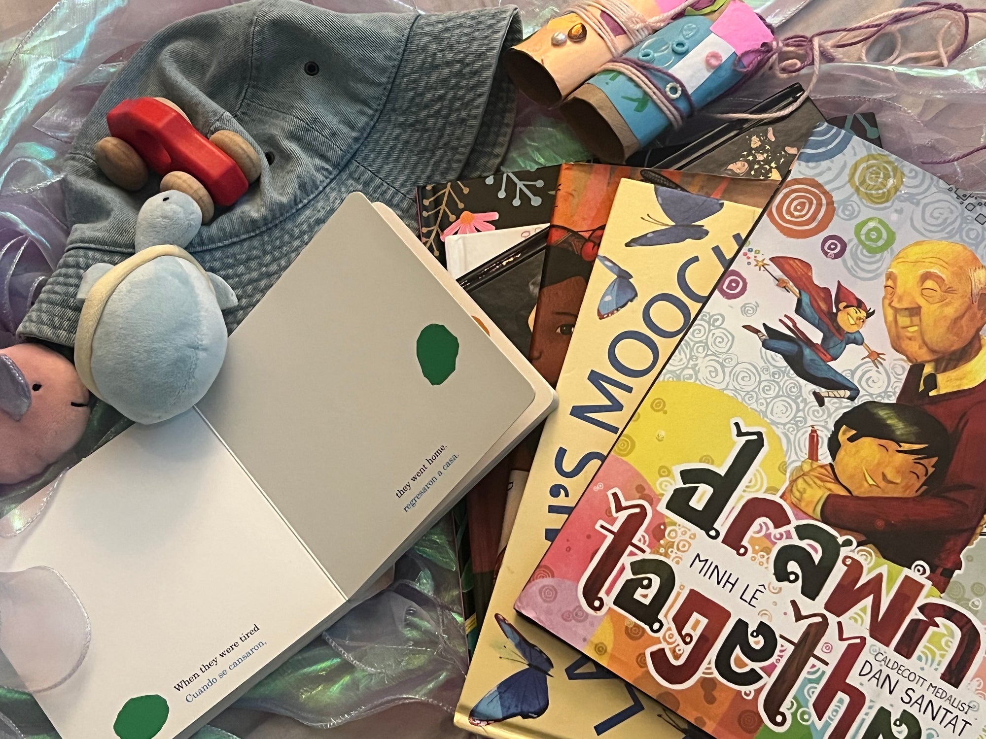 (Book Bundle for Kids)