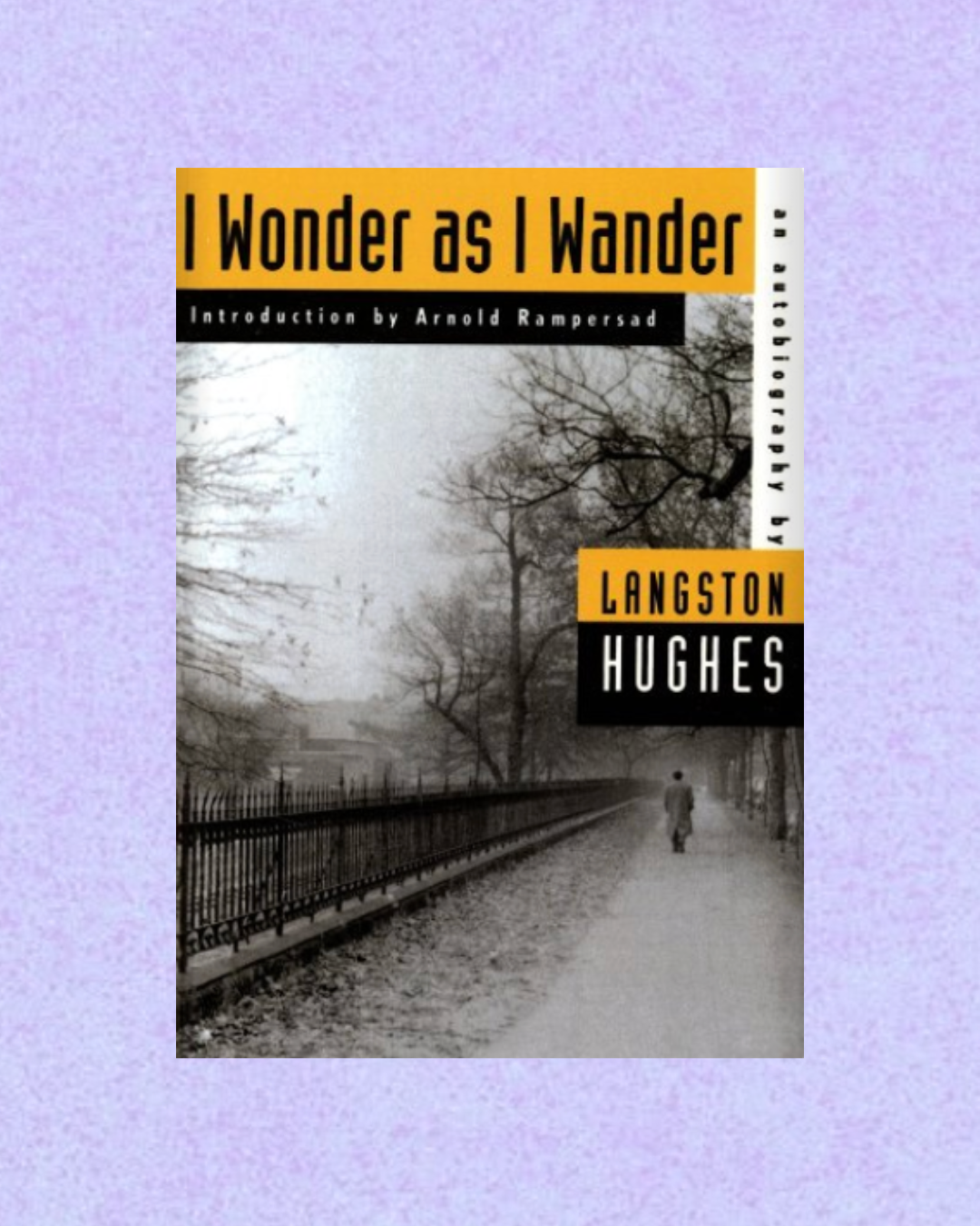 I Wonder as I Wander | Langston Hughes