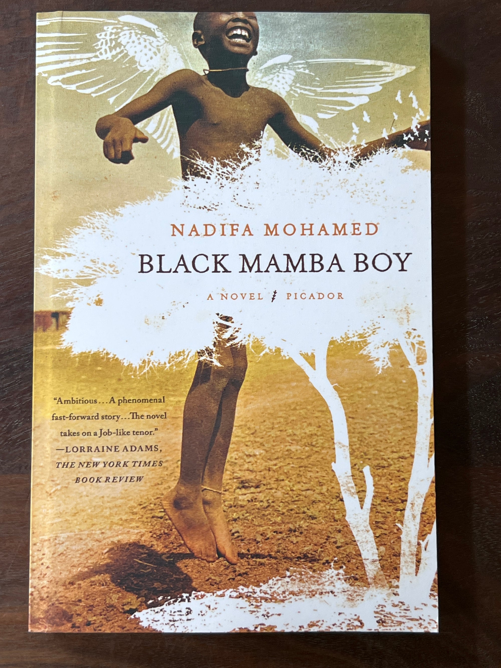 Black Mamba Boy