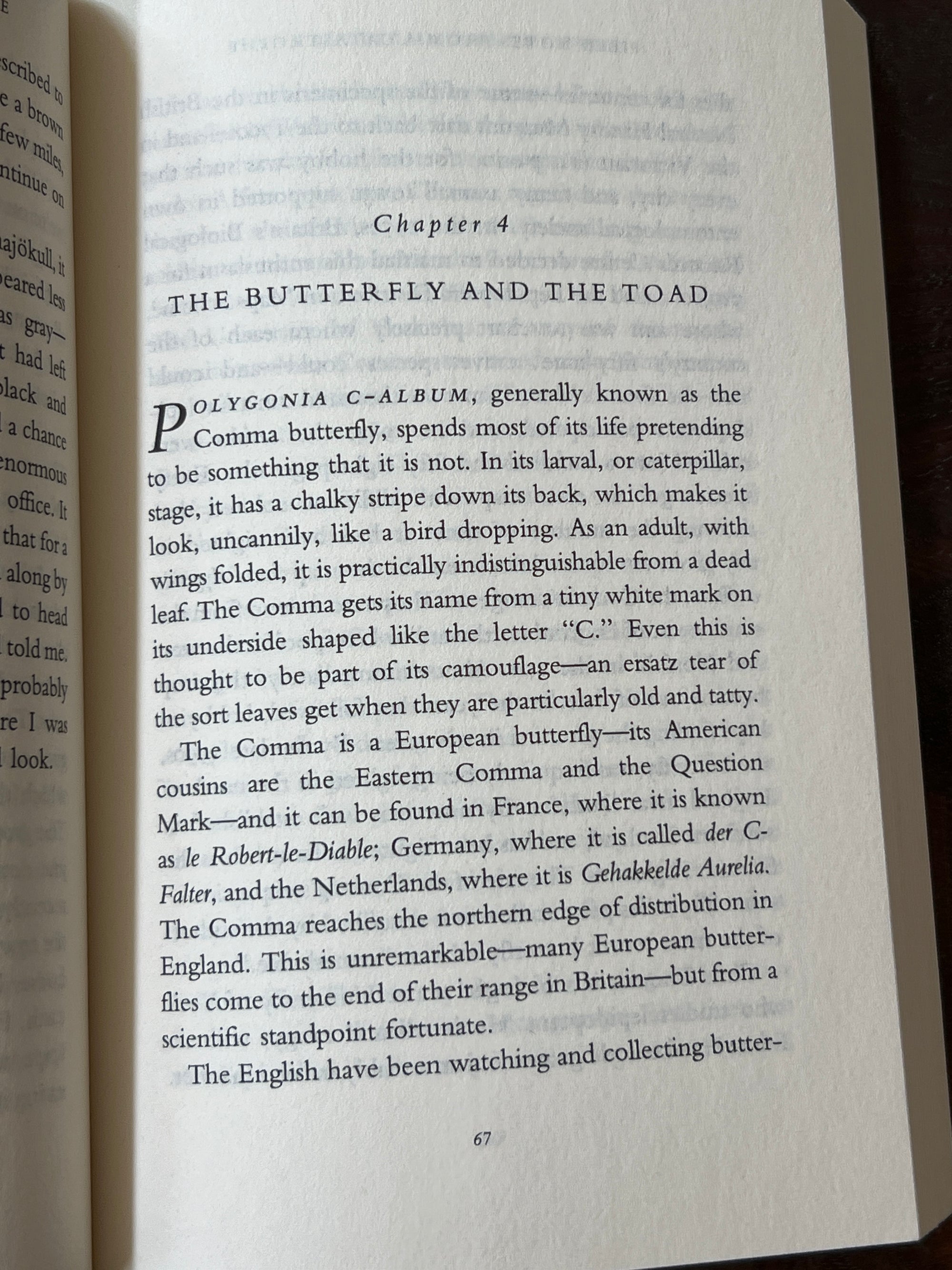 Field Notes from a Catastrophe