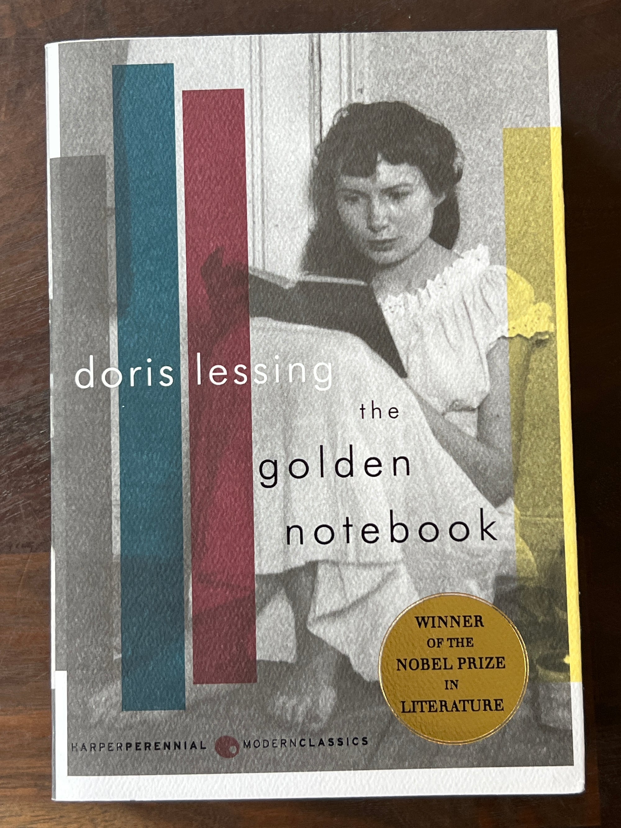 the golden notebook