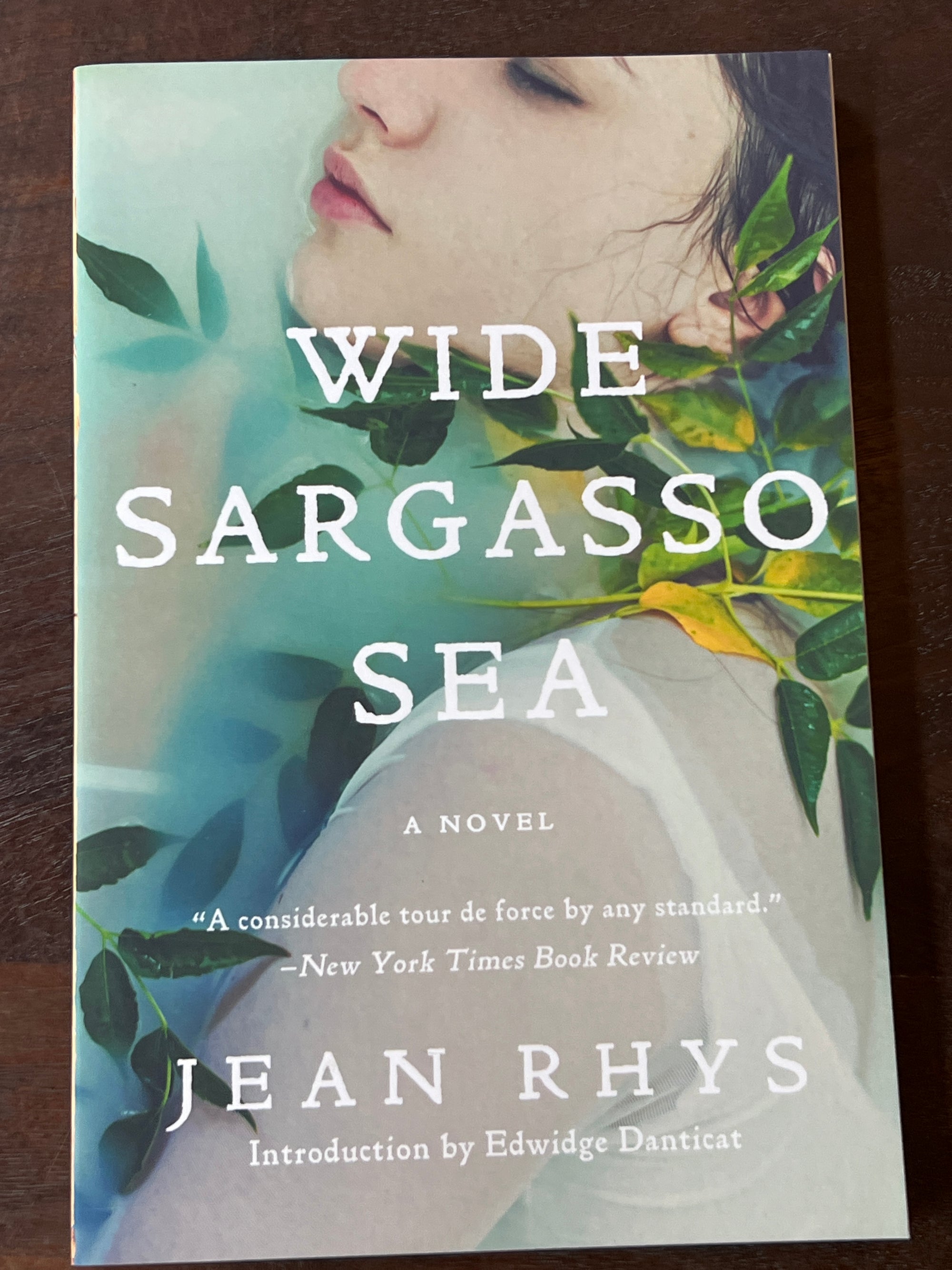 Wide Sargasso Sea
